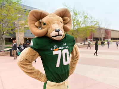 Colorado State University Mascot