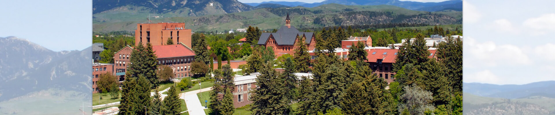 Montana State University