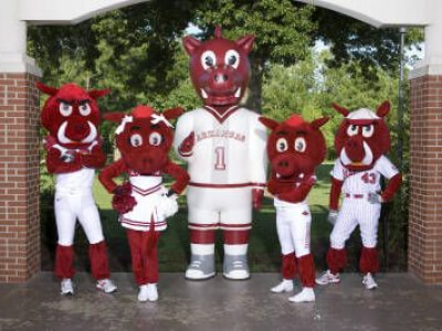 University of Arkansas Mascot