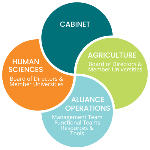 This four-part diagram shows how IDEA is made up of three governing bodies (a Cabinet and two boards of directors - one human sciences and the other agriculture), as well as groups that manage alliance operations like the management team and functional teams.