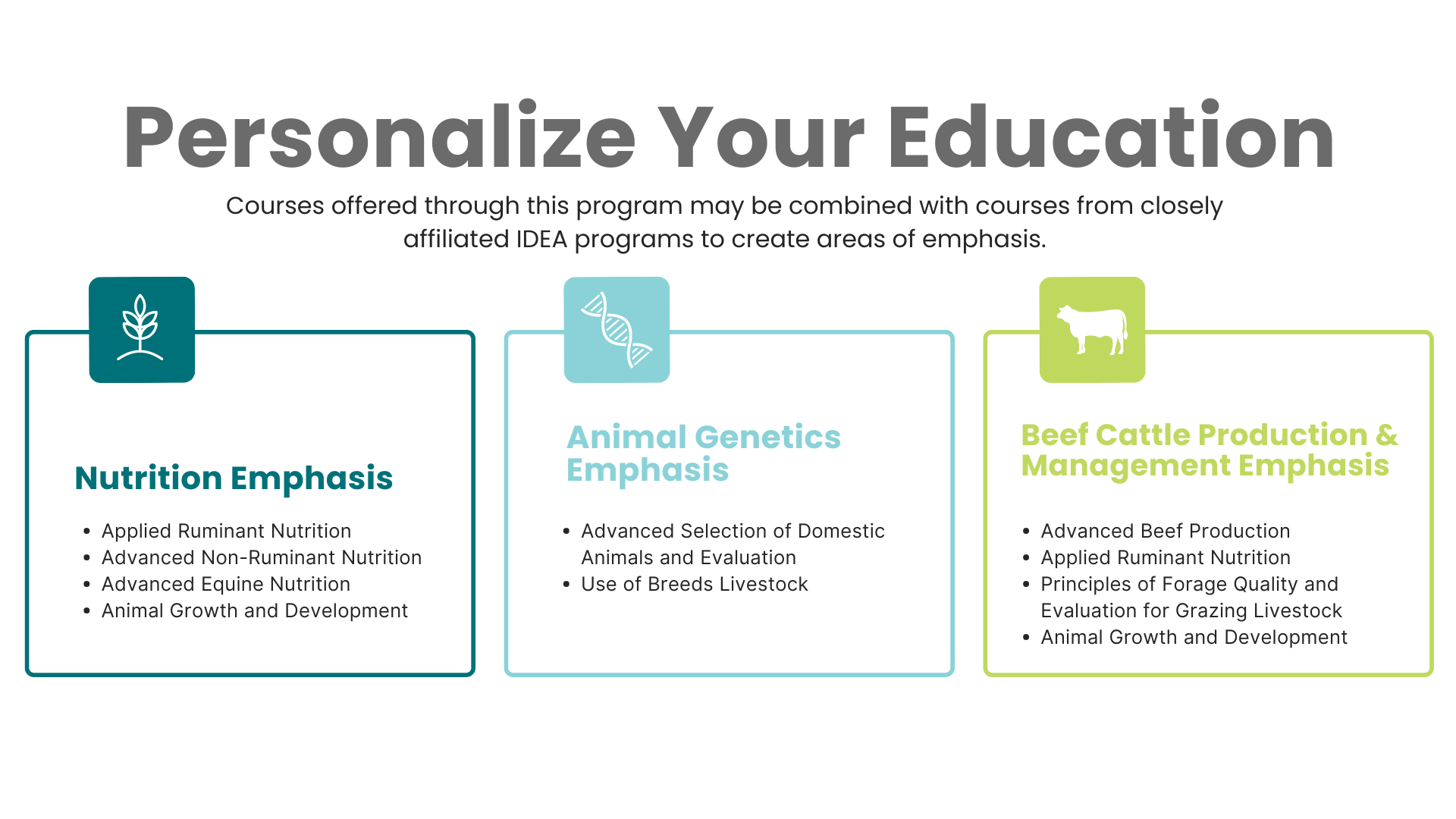 Courses offered through this program may be combined with courses from closely affiliated IDEA programs to creat areas of emphasis such as nutrition, animal genetics, or beef cattle producation and management.